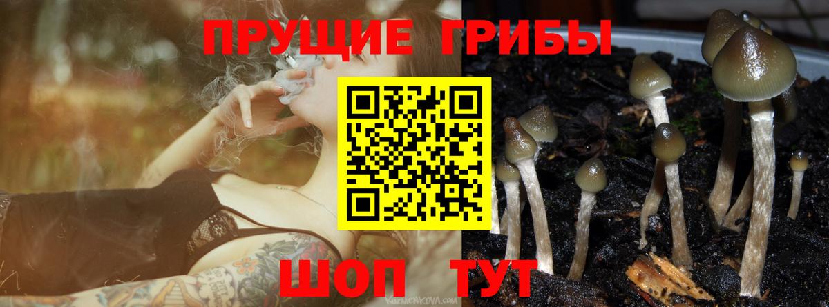 Галлюциногенные грибы Psilocybe  Вход с VPN  Железногорск  Галлюциногенные грибы ЛСД 